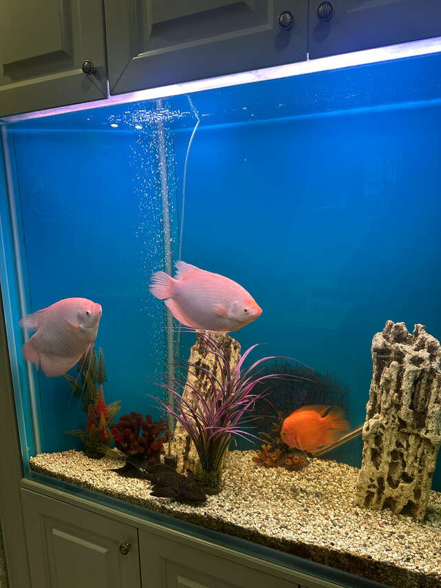 Бутик-Отель Абсолют Саратов-198